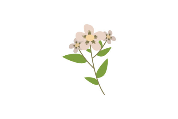 Boho Color Floral Plant Illustration-02 for Crafting and Graphics