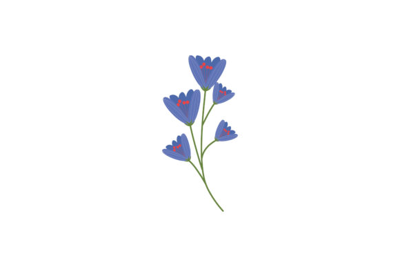 Boho Color Floral Plant Illustration-10 for Branding and Marketing