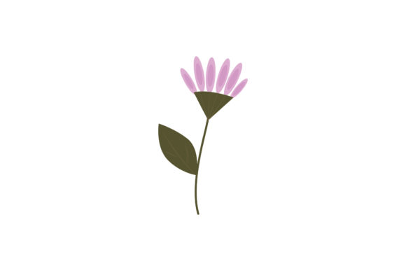 Boho Color Floral Plant Illustration for Branding and Packaging