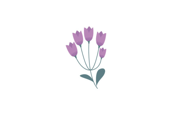 Boho Color Floral Plant Illustration Review