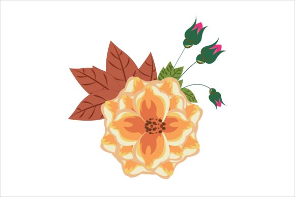 Orange Floral Flower Decorative Vector Graphics and Illustrations