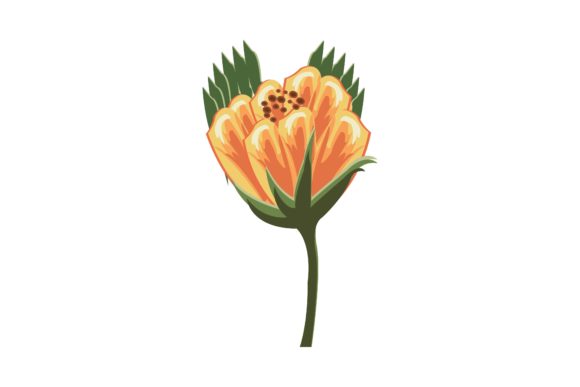 Orange Rose Floral Ornament Illustration for Blog and Web Design