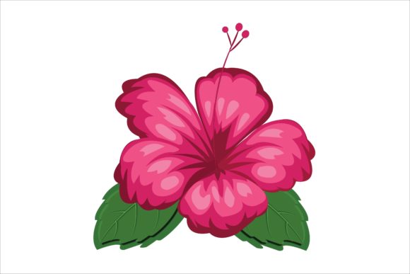 Pink Hibiscus Floral Flower Illustration for Graphic Design