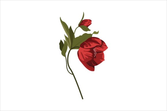 Red Floral Design Illustration for Branding and Marketing